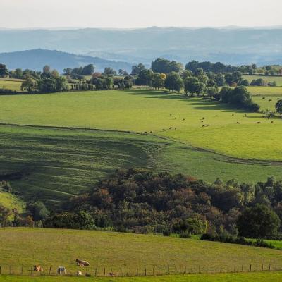 Condom-d'Aubrac, Aveyron