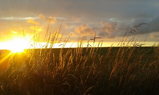 coucher de soleil Régnéville