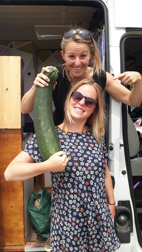 Pustine courgette