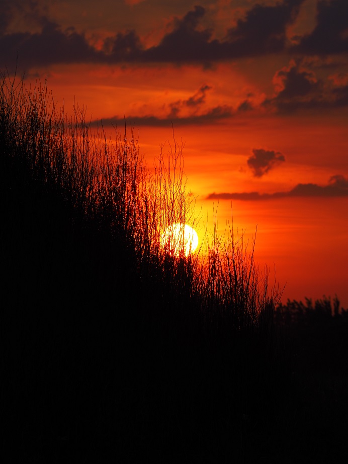 coucher de soleil pied dans l'eau