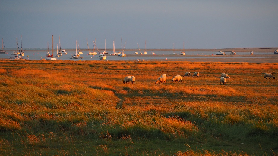 coucher de soleil Régnéville 2